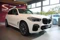BMW X5 xDrive 30d M Sport LED Pano ACC Head-Up Blanc - thumbnail 1
