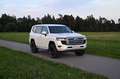 Toyota Land Cruiser 3.5 Twin Turbo GR Sport 2025 Nestle OR Weiß - thumbnail 11
