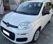 Fiat Panda 1.2 69cv BENZINA Bianco - thumbnail 1