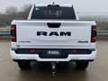 Dodge RAM 1500 Limited 5.7 V8 HEMI Night Edition / Panoramad Blanco - thumbnail 7
