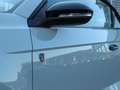 Volkswagen T-Roc R-Line Edition Karmann PLUS 1.5 Grau - thumbnail 13