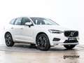Volvo XC60 BUSINESS PLUS AUTO 2.0 B4 4WD 197 5P Wit - thumbnail 4