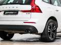 Volvo XC60 BUSINESS PLUS AUTO 2.0 B4 4WD 197 5P Wit - thumbnail 8