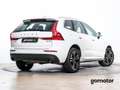 Volvo XC60 BUSINESS PLUS AUTO 2.0 B4 4WD 197 5P Wit - thumbnail 2