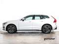 Volvo XC60 BUSINESS PLUS AUTO 2.0 B4 4WD 197 5P Wit - thumbnail 3