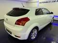 Kia Ceed / cee'd / Ceed 1.6 Spirit PDC SZHZG ALU-16  2-ZONEN Weiß - thumbnail 7