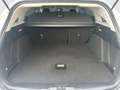 Ford Focus Traveller Trend Wit - thumbnail 11