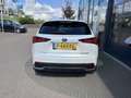 Lexus NX 300h AWD Wit - thumbnail 3