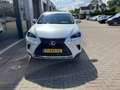 Lexus NX 300h AWD Wit - thumbnail 8