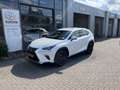 Lexus NX 300h AWD Wit - thumbnail 9