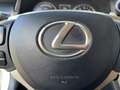 Lexus NX 300h AWD Wit - thumbnail 17