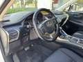 Lexus NX 300h AWD Wit - thumbnail 12