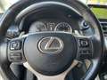 Lexus NX 300h AWD Wit - thumbnail 14