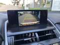 Lexus NX 300h AWD Wit - thumbnail 22