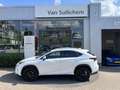 Lexus NX 300h AWD Wit - thumbnail 1