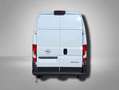 Opel Movano Cargo Kastenwagen verblecht L3H3 3.5t verstärkt... Weiß - thumbnail 4