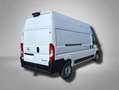 Opel Movano Cargo Kastenwagen verblecht L3H3 3.5t verstärkt... Weiß - thumbnail 5