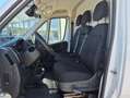Opel Movano Cargo Kastenwagen verblecht L3H3 3.5t verstärkt... Weiß - thumbnail 9