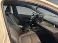 Toyota Corolla 1.2 Benziner +Kamera+PDC+SHZ+CarPlay+ Weiß - thumbnail 16