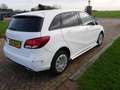Mercedes-Benz B 220 d Ambition ** EX POLITIE -- MARGE CAR ** Bianco - thumbnail 6