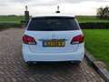 Mercedes-Benz B 220 d Ambition ** EX POLITIE -- MARGE CAR ** Bianco - thumbnail 7