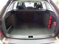 Skoda Octavia 1.4 TSI Combi Ambition.PDC,SHZ,ab. AHK Brun - thumbnail 10