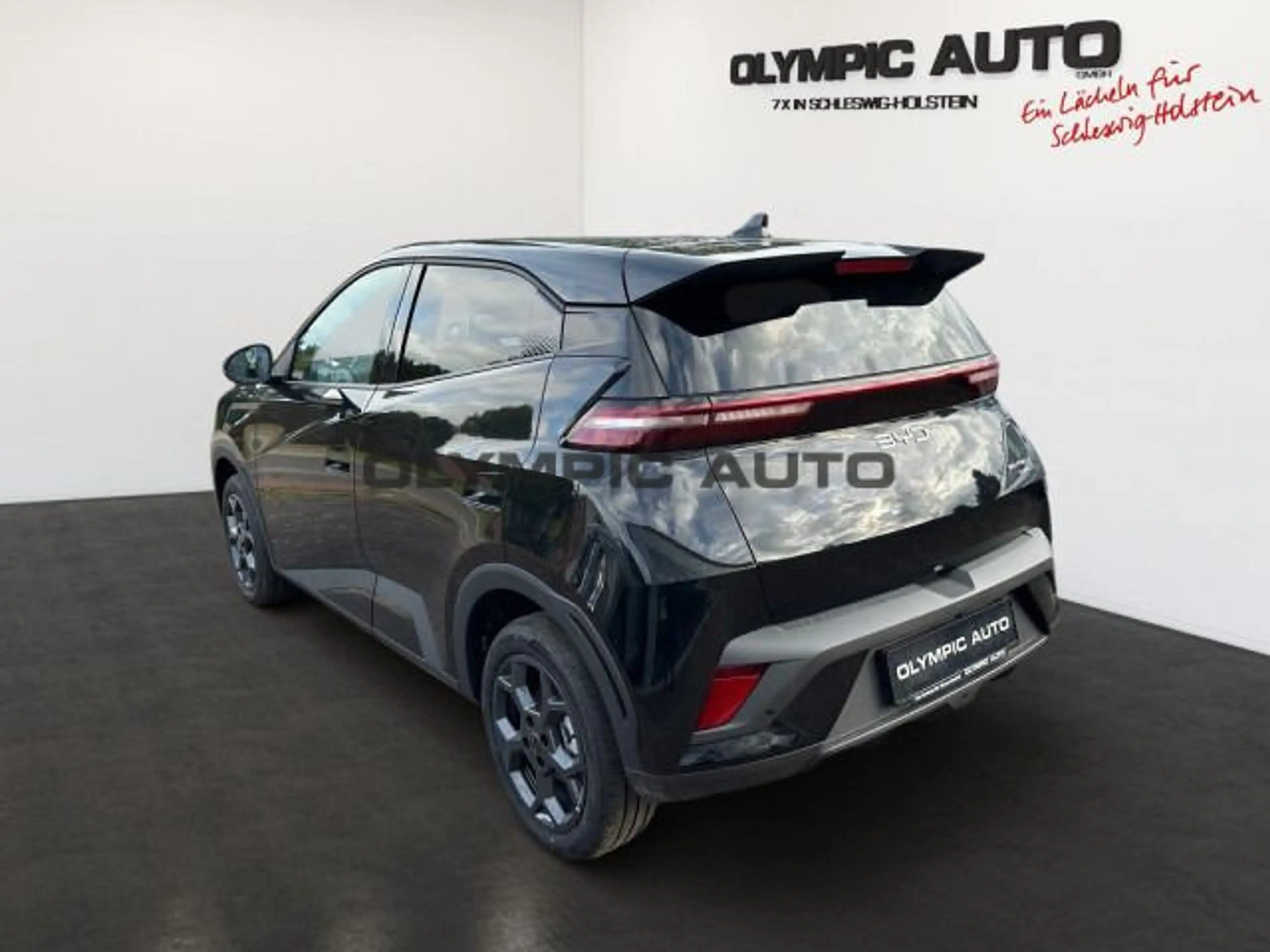 BYD Dolphin Surf Dolphin Surf Comfort 43kWh 360°KAMERA LED SITZHZ — photo 4