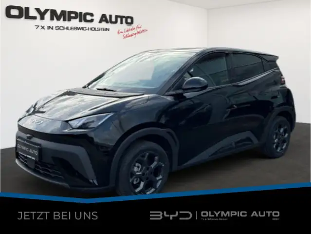 BYD Dolphin Surf