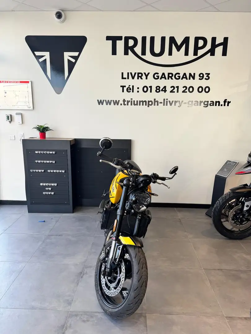 Triumph Trident 660 - 1