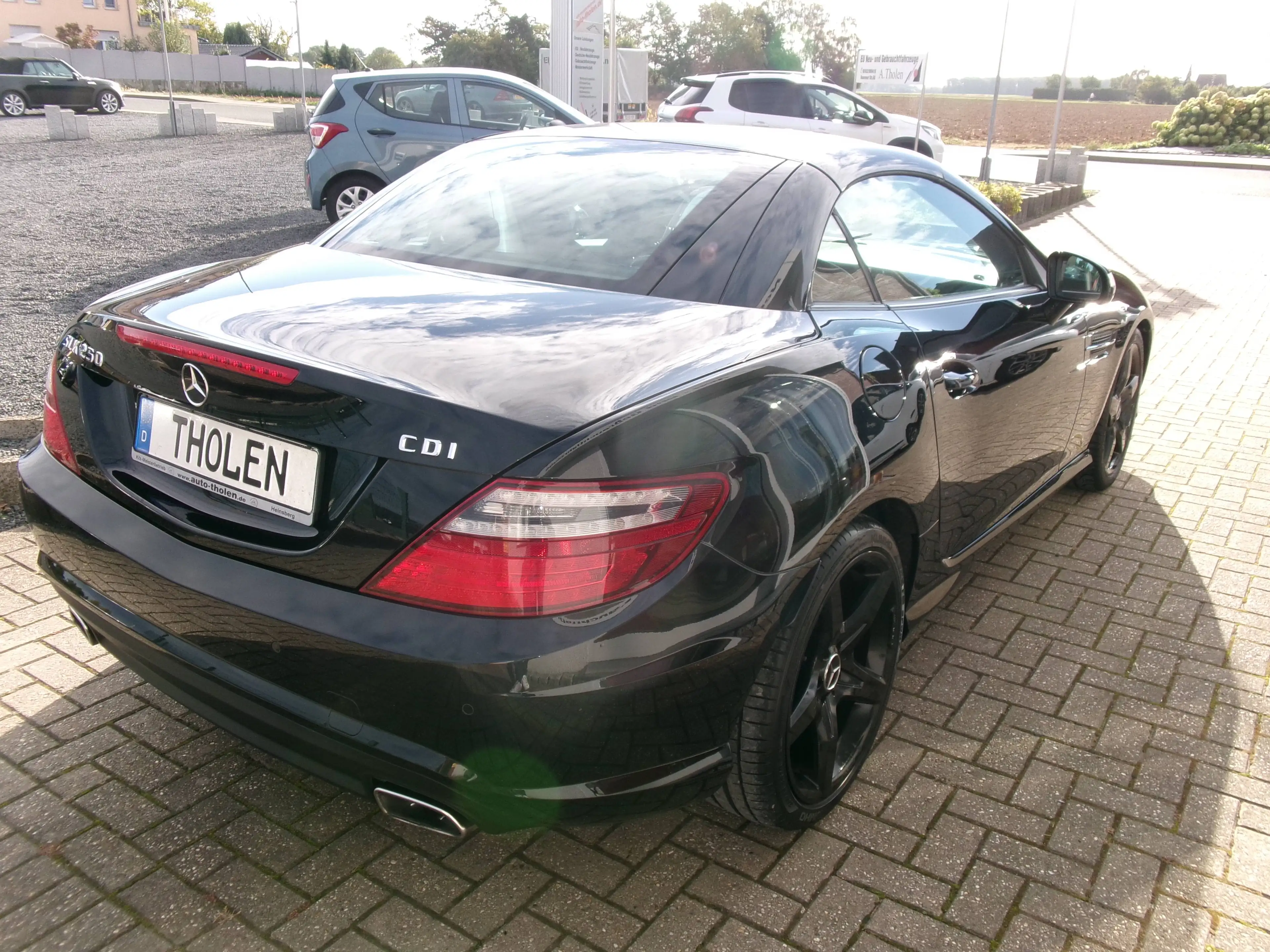 Mercedes-Benz SLK 250 SLK 250 CDI BE, AMG, Navi, PDC, Leder, Xenon — photo 6