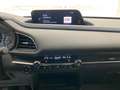 Mazda CX-30 Selection M-Hybrid/AWD/ Kam/LED/Selection Grau - thumbnail 17