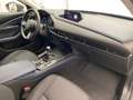 Mazda CX-30 Selection M-Hybrid/AWD/ Kam/LED/Selection Grau - thumbnail 19