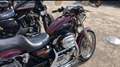 Harley-Davidson Sportster 1200 XL 1200 C Rosso - thumbnail 2