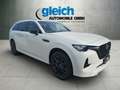 Mazda CX-80 3.3 e-SKYACTIV-D 254 Homura Plus PDC LED Weiß - thumbnail 17