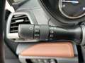 Subaru Forester 2.0i Hybrid 150cv 4x4 CVT Executive Plus Verde - thumbnail 19