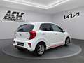 Kia Picanto PICANTO 1.2 GTL|KAMERA|NAVI|LEDER|CARPLAY|SITZHEIZ Weiß - thumbnail 4