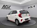 Kia Picanto PICANTO 1.2 GTL|KAMERA|NAVI|LEDER|CARPLAY|SITZHEIZ Weiß - thumbnail 6