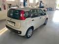 Fiat Panda Panda III 2012 1.2 Young 69cv Beige - thumbnail 9