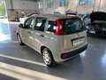 Fiat Panda Panda III 2012 1.2 Young 69cv Beige - thumbnail 3