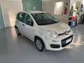 Fiat Panda Panda III 2012 1.2 Young 69cv Beige - thumbnail 6