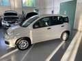 Fiat Panda Panda III 2012 1.2 Young 69cv Beige - thumbnail 2