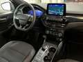 Ford Kuga ST-Line 1.5 EcoBlue 88kW (120CV) Auto Gris - thumbnail 22