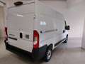 Fiat Ducato Ducato 33 2.2 Mjt 140CV PM-TM Furgone Bianco - thumbnail 2