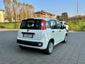 Fiat Panda Panda 1.2 Easy Blanco - thumbnail 7
