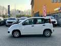 Fiat Panda Panda 1.2 Easy Blanco - thumbnail 4