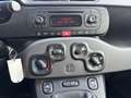 Fiat Panda Panda 1.2 Easy Blanc - thumbnail 16