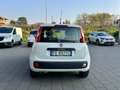 Fiat Panda Panda 1.2 Easy Blanco - thumbnail 6