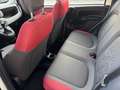 Fiat Panda Panda 1.2 Easy Blanco - thumbnail 10