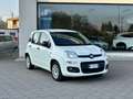 Fiat Panda Panda 1.2 Easy Blanco - thumbnail 1