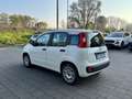 Fiat Panda Panda 1.2 Easy Blanco - thumbnail 5